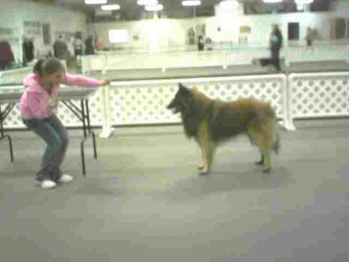 Jr. Showmanship