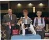 Pictures of Member’s Dogs