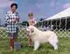 Pictures of Member’s Dogs