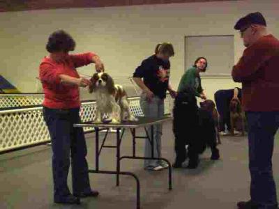 Practice makes perfect! CIKC Classes run year around.